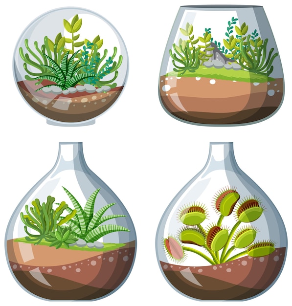 Vecteur gratuit ensemble de plantes de terrarium en pot