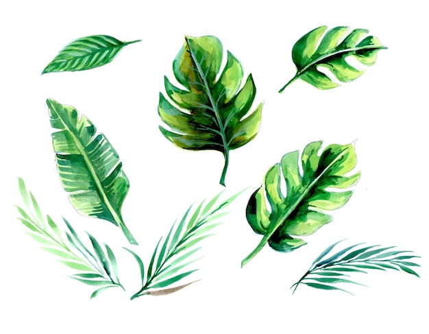 Vecteur gratuit ensemble de plantes tropicales aquarelles dessinées à la main