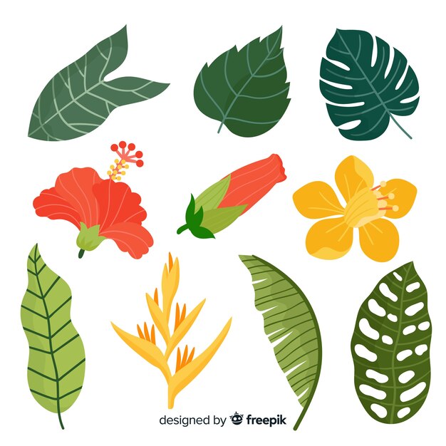 Ensemble de plantes tropicales dessinés à la main