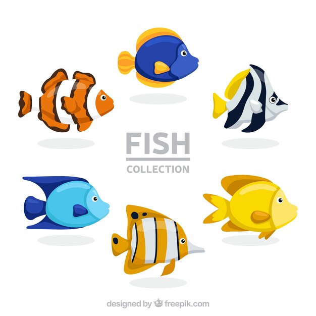 Ensemble de poissons colorés dans un style dessiné à la main