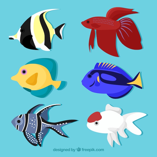 Vecteur gratuit ensemble de poissons colorés dans un style dessiné à la main