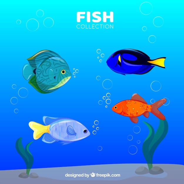 Vecteur gratuit ensemble de poissons colorés dans un style dessiné à la main