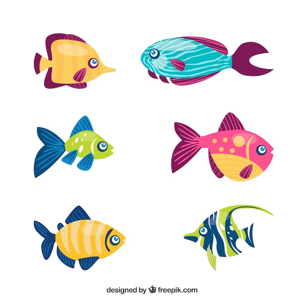 Vecteur gratuit ensemble de poissons colorés dans un style dessiné à la main