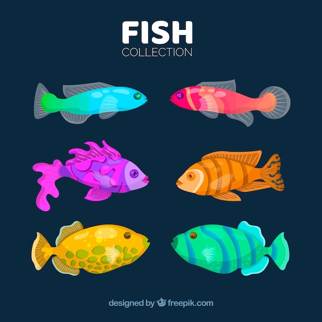 Vecteur gratuit ensemble de poissons colorés dans un style dessiné à la main