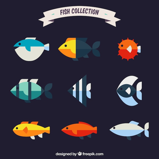 Vecteur gratuit ensemble de poissons colorés dans un style plat