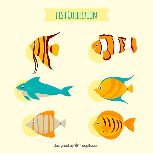 Ensemble De Poissons Colorés Dans Un Style Plat