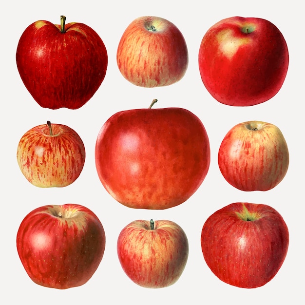 Vecteur gratuit ensemble de pommes rouges dessinés à la main