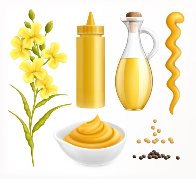Ensemble réaliste de moutarde avec des images colorées d'emballages avec des graines et des plantes à fleurs sur illustration vectorielle fond blanc