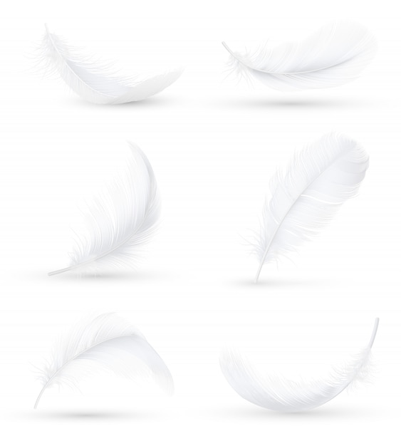 Vecteur gratuit ensemble réaliste de plumes blanches