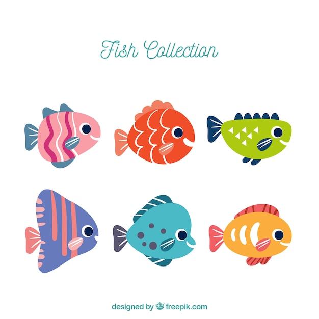 Vecteur gratuit ensemble de six poissons colorés