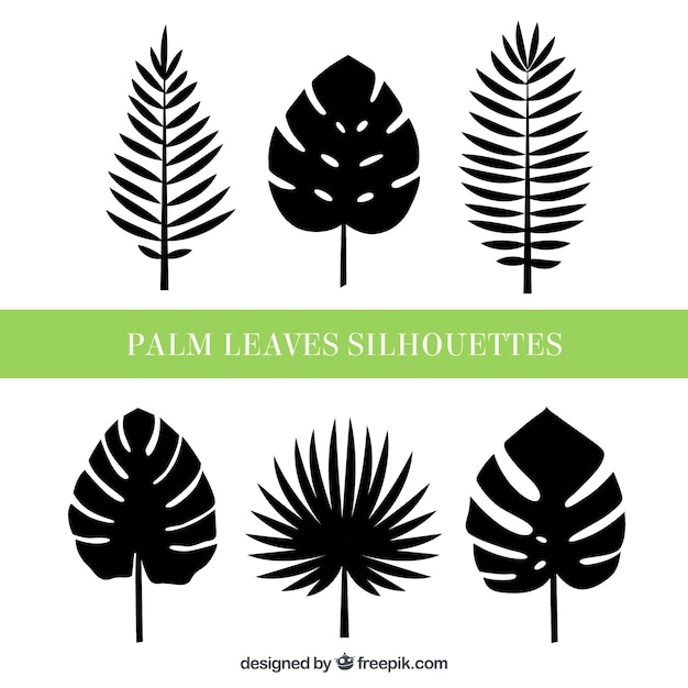 Vecteur gratuit ensemble de six silhouettes de feuilles de palmier
