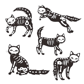 Ensemble de squelettes de chats isolé sur fond blanc