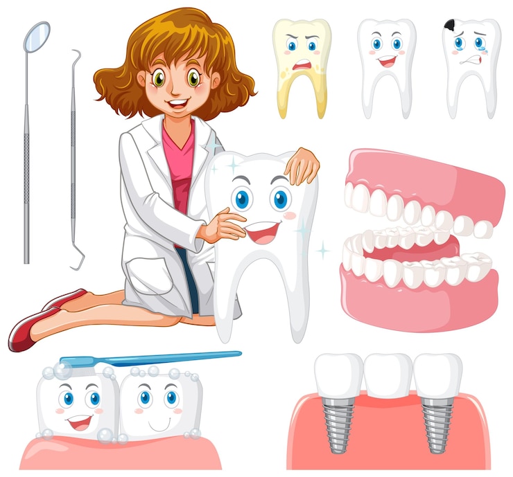 Vecteur gratuit ensemble de tous les types de dents sur fond blanc