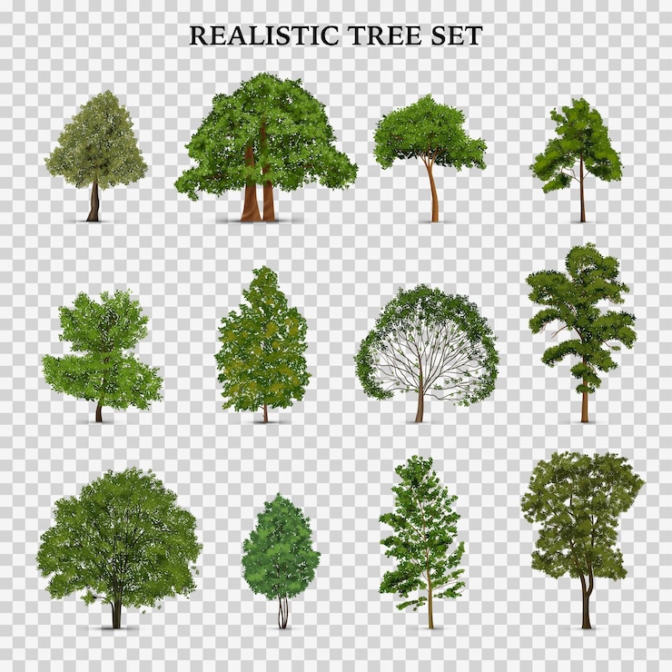 Vecteur gratuit ensemble transparent d'arbre réaliste avec des images isolées d'arbres uniques avec des feuilles vertes de feuillage et illustration vectorielle de texte