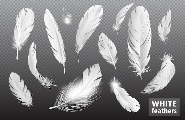 Vecteur gratuit ensemble transparent de plumes réalistes avec des images isolées de plumes d'oiseaux moelleuses pures et brillantes avec illustration vectorielle de texte