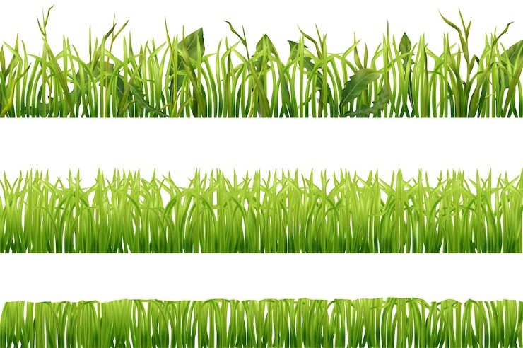 Vecteur gratuit ensemble de trois bordures horizontales sans soudure réalistes avec illustration vectorielle isolée d'herbe verte