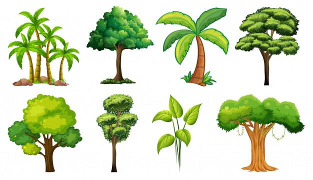 Ensemble de variétés de plantes et d'arbres