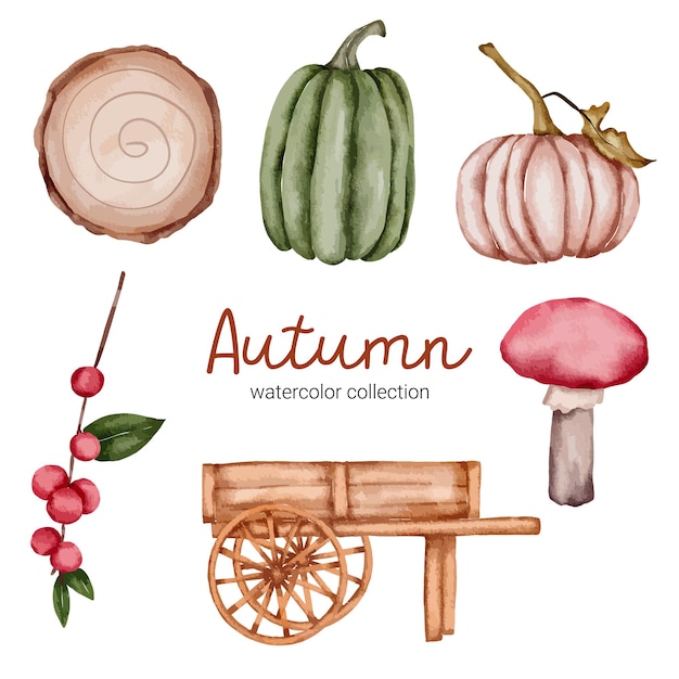 Ensemble de vecteur d'éléments d'objet d'automne dans un style Aquarelle. Ensemble de fruits d'automne aquarelle et design d'objets combinés avec une tache peinte à la main. feuilles botaniques aquarelle peinture à la main.