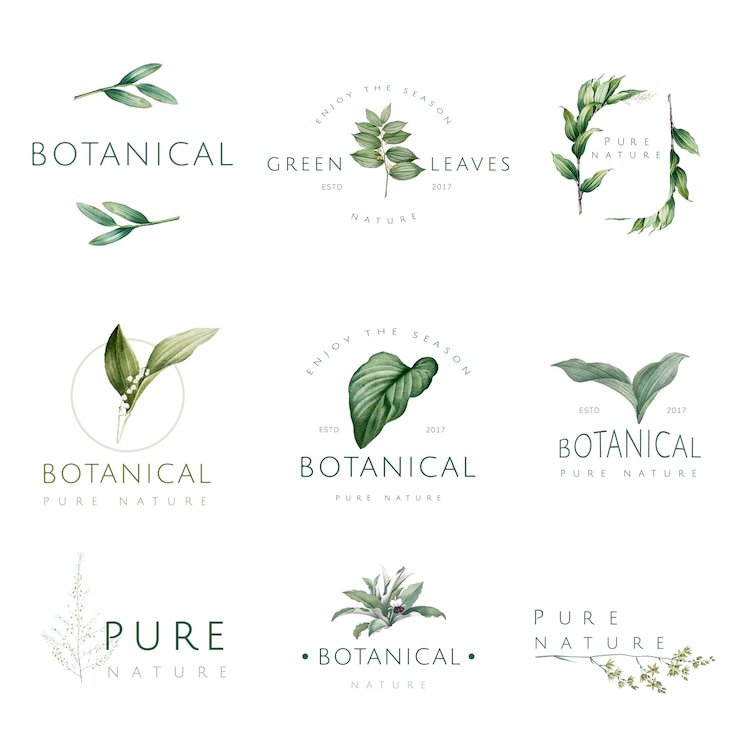 Vecteur gratuit ensemble de vecteurs de logo nature et plante
