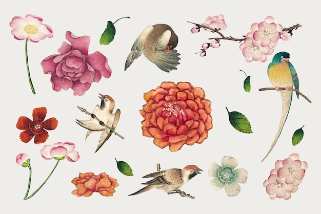 Ensemble vectoriel de fleurs et d'oiseaux chinois, remix d'œuvres d'art de Zhang Ruoai