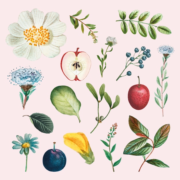 Ensemble vintage de fruits et de fleurs illustration dessinée à la main