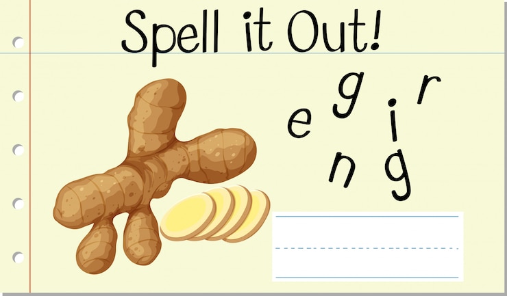 Vecteur gratuit épeler le mot anglais gingembre