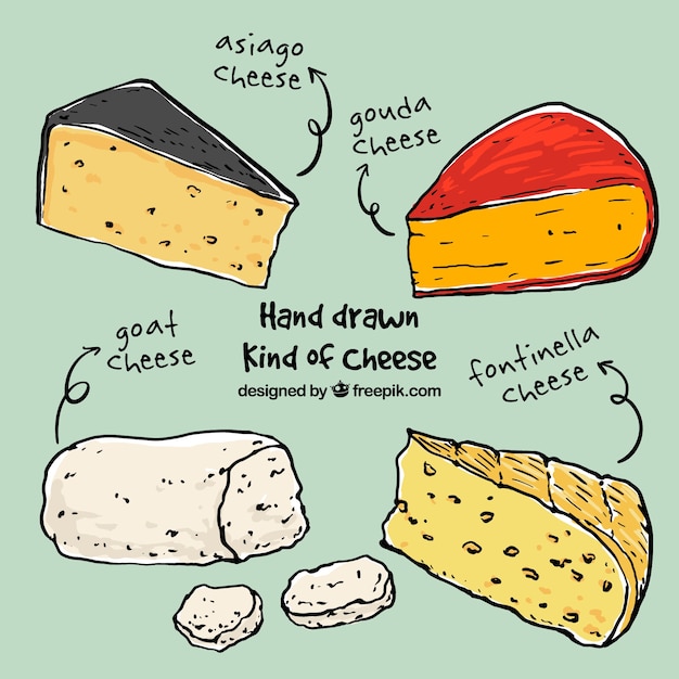 Esquisses Différents Fromages