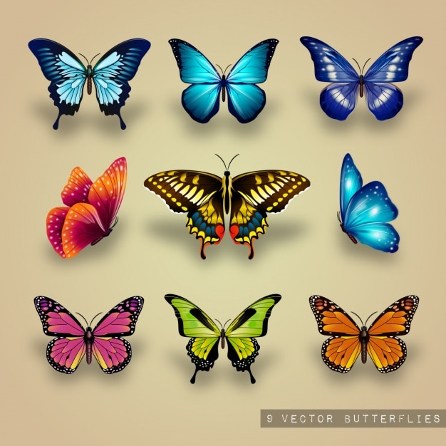 Vecteur gratuit excellente collection de papillons