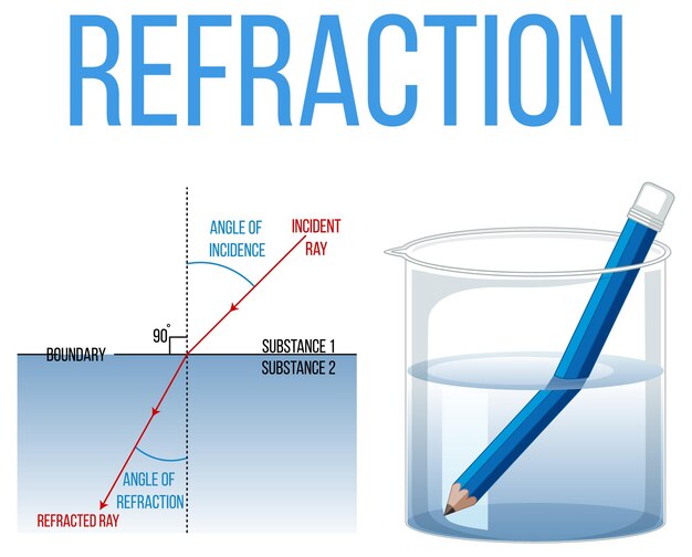 Expérience scientifique de réfraction avec un crayon dans un bécher d'eau