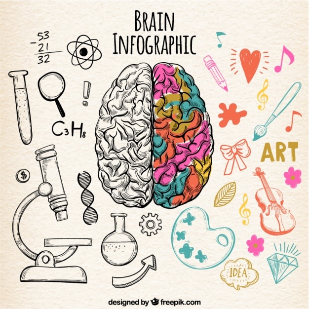 Vecteur gratuit fantastique infographique de cerveau humain avec des détails de couleur
