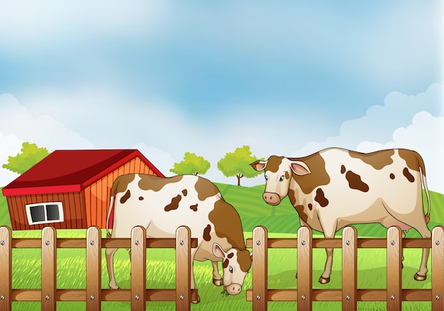 Vecteur gratuit une ferme avec deux vaches à l'intérieur de la clôture