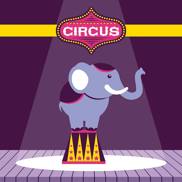 Fête Du Cirque