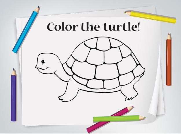 Feuille de travail de coloriage de tortue d'enfants
