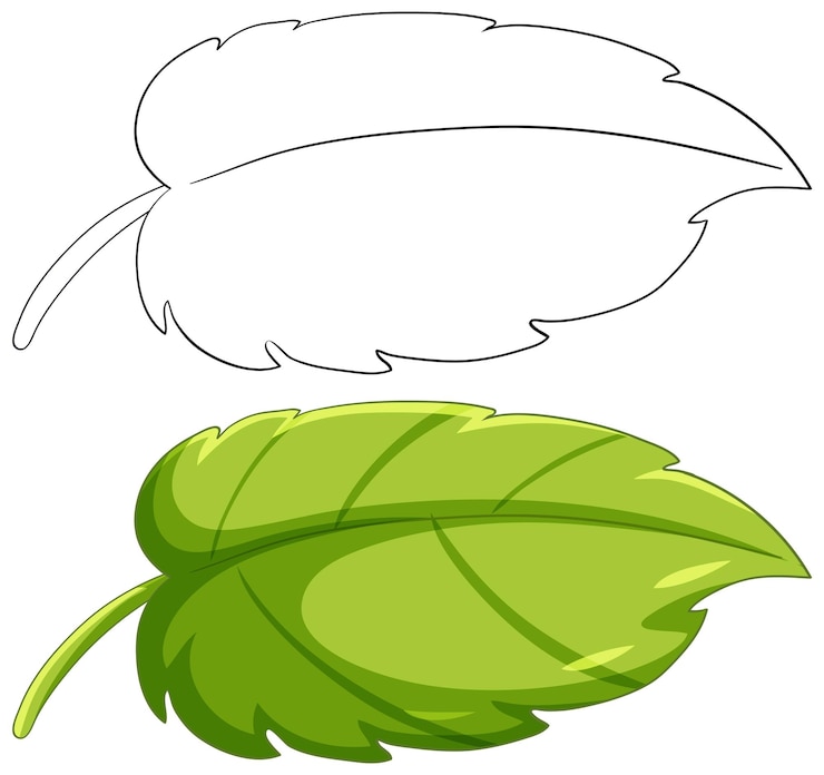 Vecteur gratuit feuille verte avec bulle de parole blanche