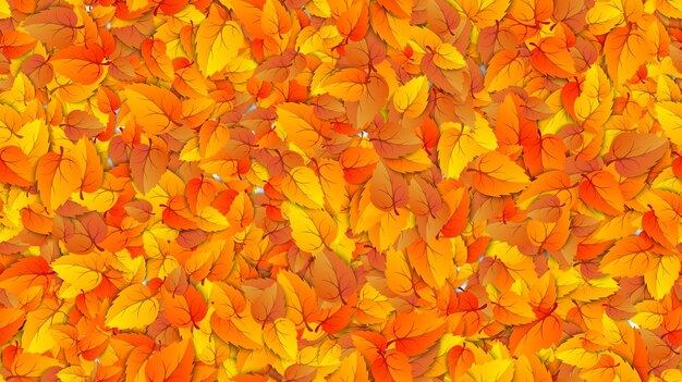 Feuilles d'automne transparentes bannière de remplissage horizontal Modèle de publicité avec automne automne doré