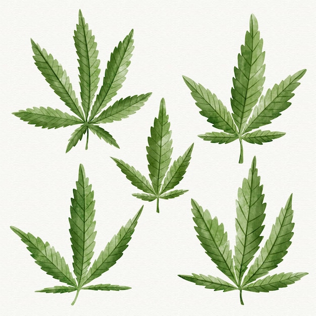 Vecteur gratuit feuilles de cannabis aquarelle