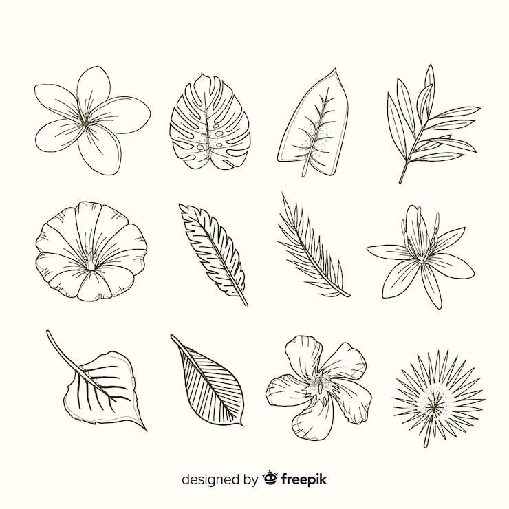 Vecteur gratuit feuilles et fleurs réalistes dessinées à la main