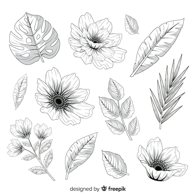 Feuilles et fleurs réalistes dessinées à la main