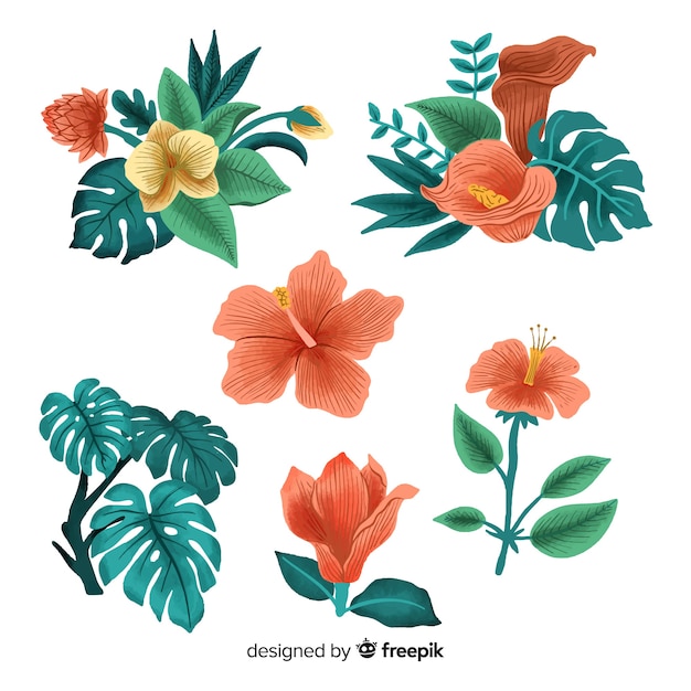 Vecteur gratuit feuilles et fleurs tropicales dessinées à la main