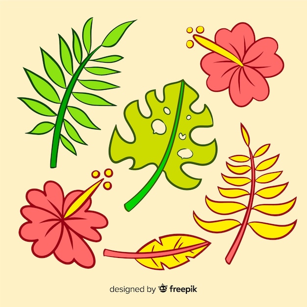 Feuilles et fleurs tropicales dessinées à la main