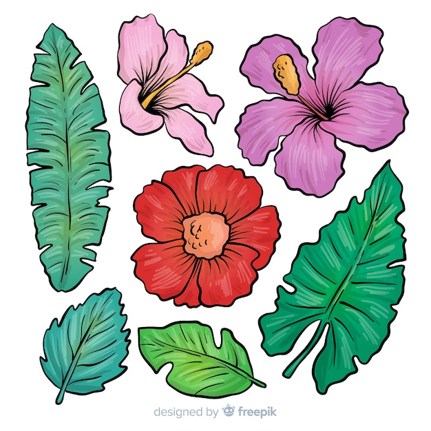 Vecteur gratuit feuilles et fleurs tropicales dessinées à la main