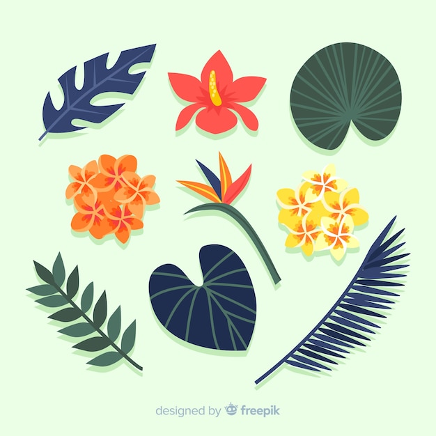 Feuilles Et Fleurs Tropicales Plates