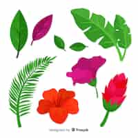 Vecteur gratuit feuilles et fleurs tropicales plates