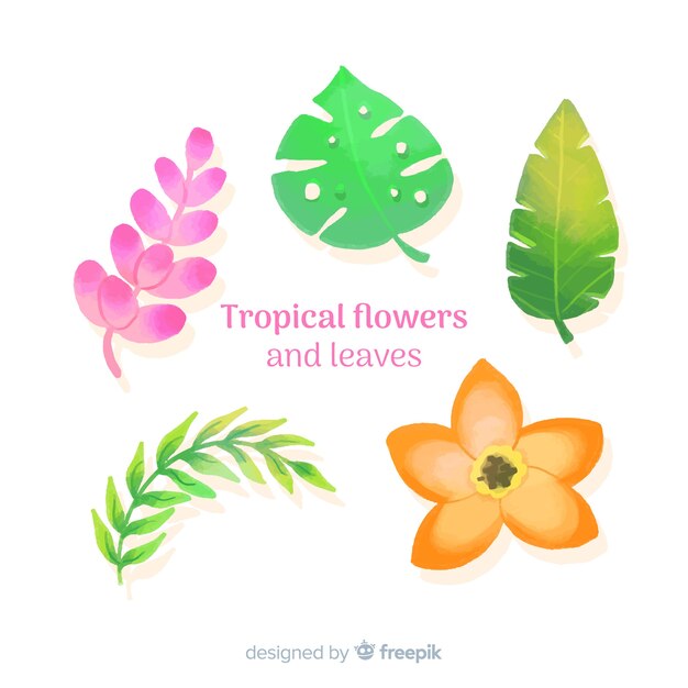 Feuilles et fleurs tropicales