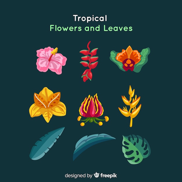 Vecteur gratuit feuilles et fleurs tropicales