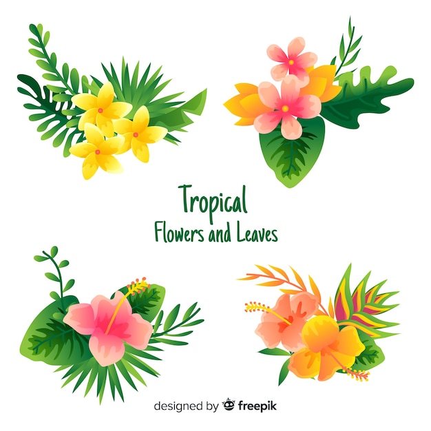 Vecteur gratuit feuilles et fleurs tropicales