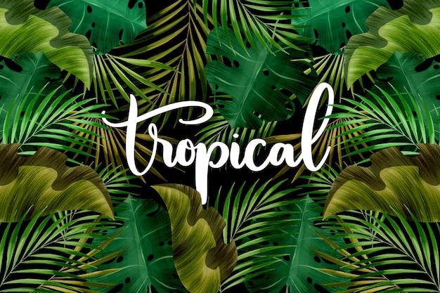 Feuilles et lettrage de mot tropical