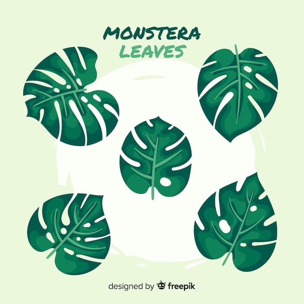 Vecteur gratuit feuilles de monstera plates