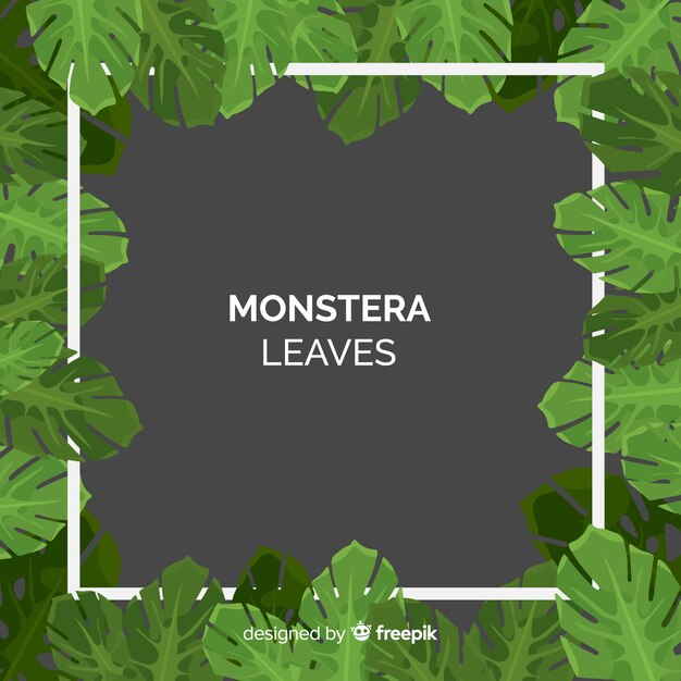 Feuilles de monstera plates