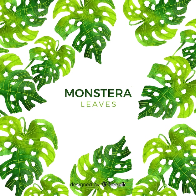 Vecteur gratuit feuilles de monstera